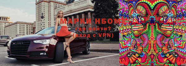 прущие грибы Абинск