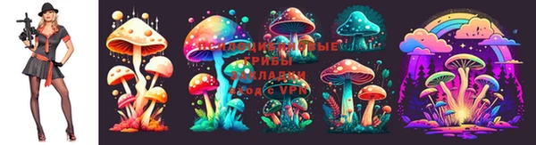 кокаин колумбия Ладушкин