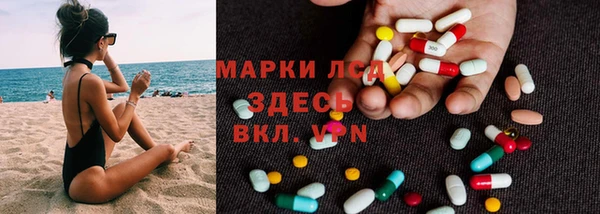 прущие грибы Абинск
