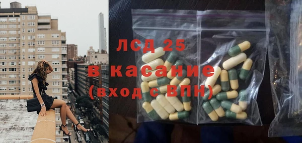 прущие грибы Абинск