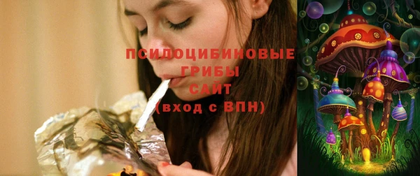 прущие грибы Абинск