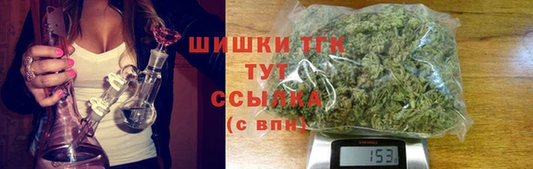 винт Абаза