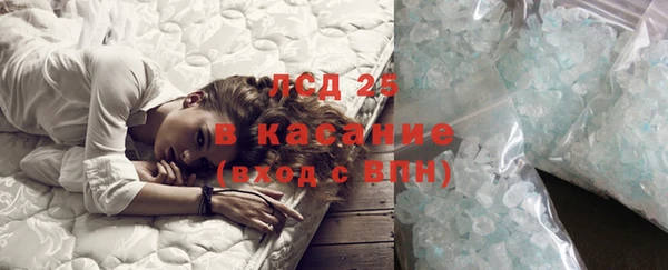 прущие грибы Абинск