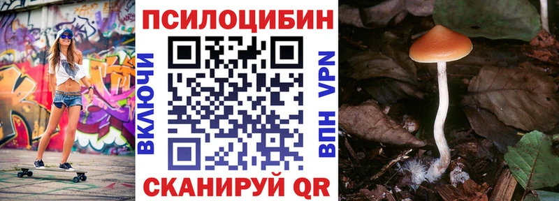 Галлюциногенные грибы Psilocybe  Ленинградская 